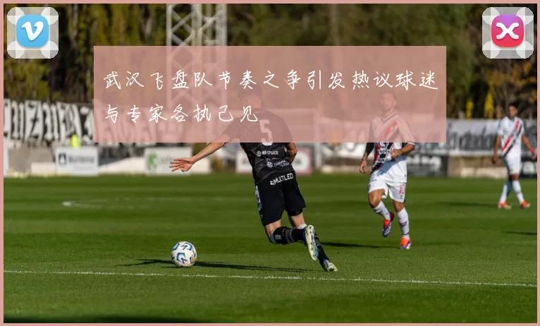 武汉飞盘队节奏之争引发热议球迷与专家各执己见