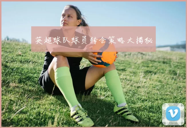 英超球队球员转会策略大揭秘