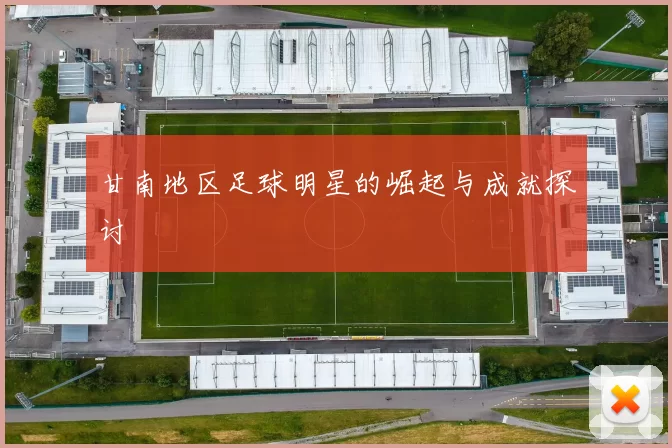 甘南地区足球明星的崛起与成就探讨