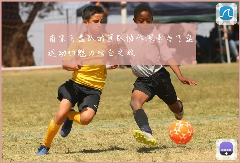 南京飞盘队的团队协作探索与飞盘运动的魅力结合之旅