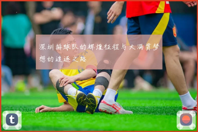 深圳排球队的辉煌征程与大满贯梦想的追逐之路
