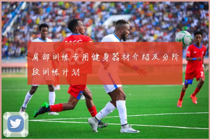 肩部训练专用健身器材介绍及分阶段训练计划