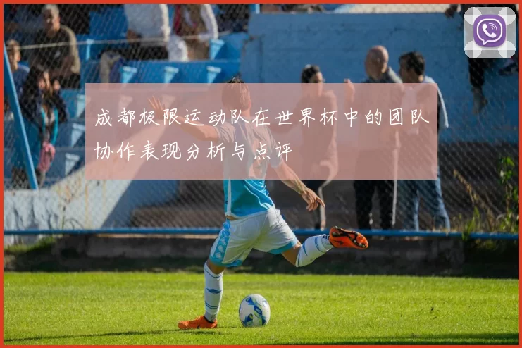 成都极限运动队在世界杯中的团队协作表现分析与点评