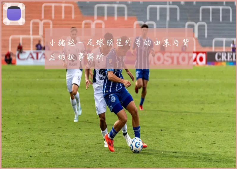 小猪这一足球明星外号的由来与背后的故事解析