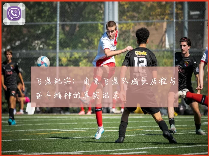 飞盘纪实：南京飞盘队成长历程与奋斗精神的真实记录