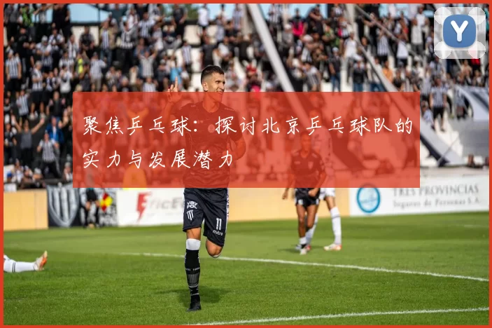 聚焦乒乓球：探讨北京乒乓球队的实力与发展潜力