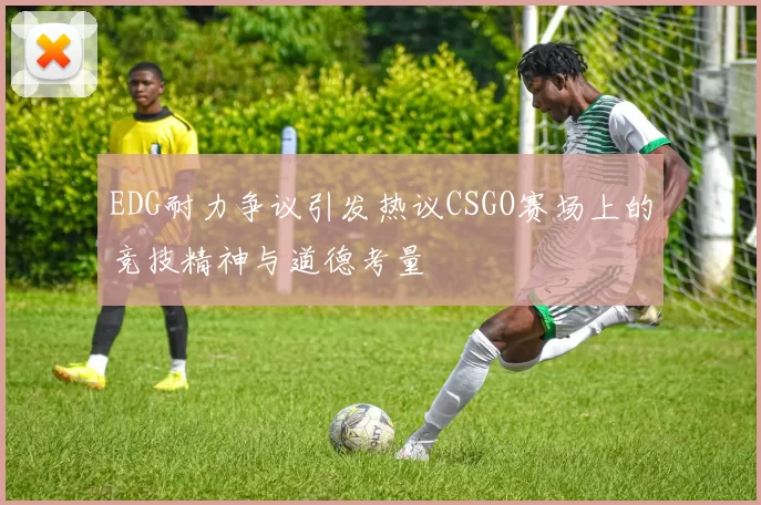 EDG耐力争议引发热议CSGO赛场上的竞技精神与道德考量