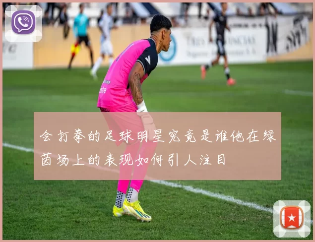 会打拳的足球明星究竟是谁他在绿茵场上的表现如何引人注目