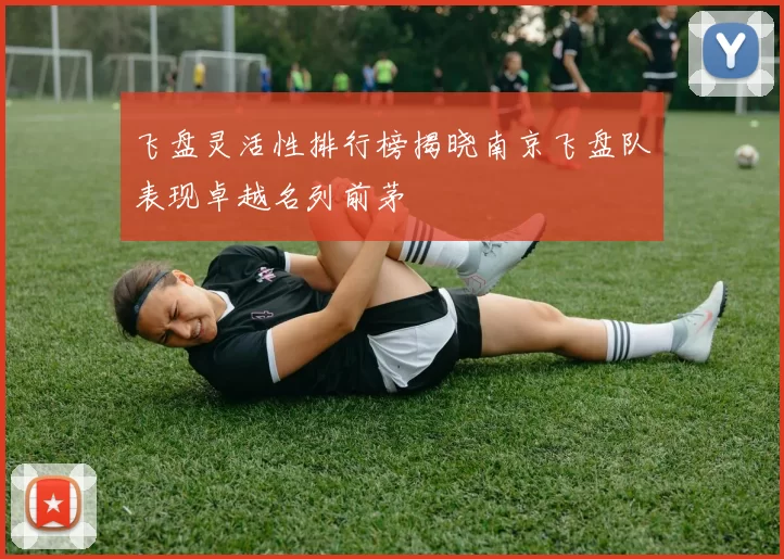 飞盘灵活性排行榜揭晓南京飞盘队表现卓越名列前茅