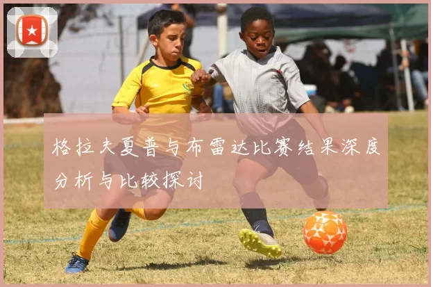 格拉夫夏普与布雷达比赛结果深度分析与比较探讨
