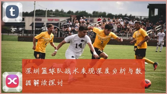 深圳篮球队战术表现深度分析与数据解读探讨