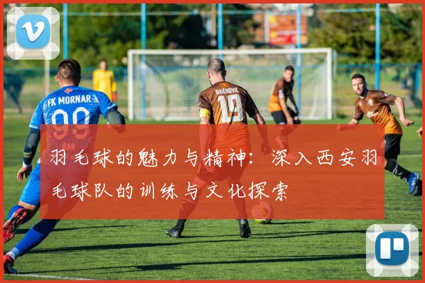 羽毛球的魅力与精神：深入西安羽毛球队的训练与文化探索