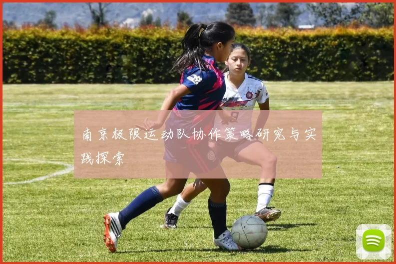 南京极限运动队协作策略研究与实践探索