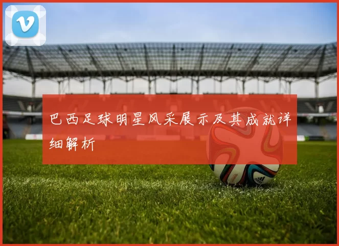 巴西足球明星风采展示及其成就详细解析