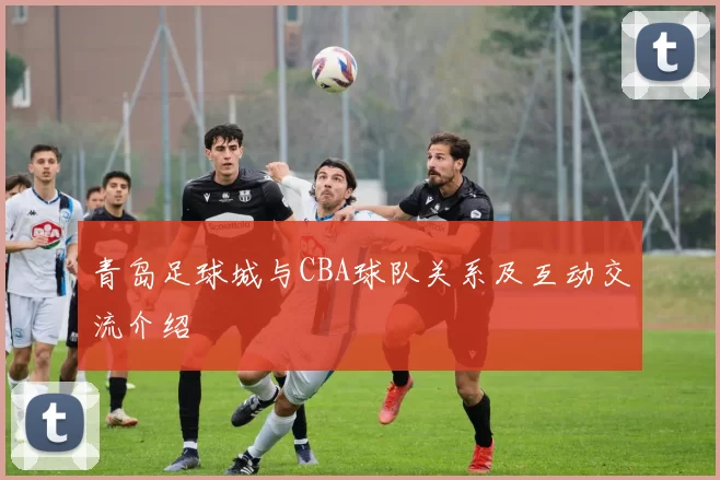 青岛足球城与CBA球队关系及互动交流介绍