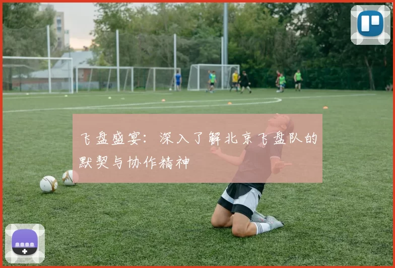 飞盘盛宴：深入了解北京飞盘队的默契与协作精神
