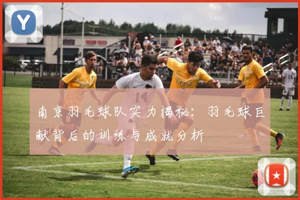 南京羽毛球队实力揭秘：羽毛球巨献背后的训练与成就分析