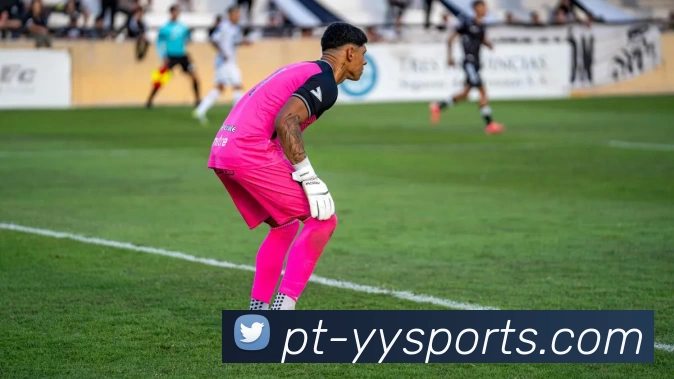 yy易游体育平台生态图