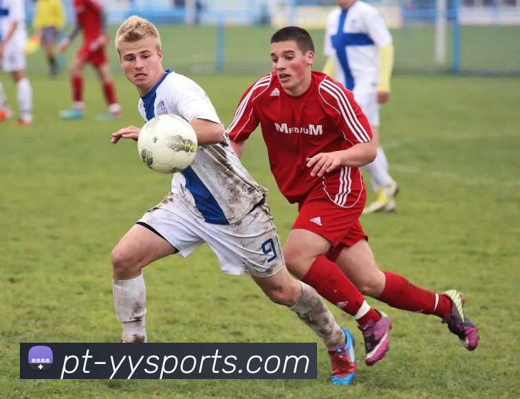 yy易游体育APP 封面图